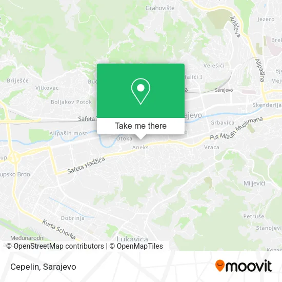 Cepelin map