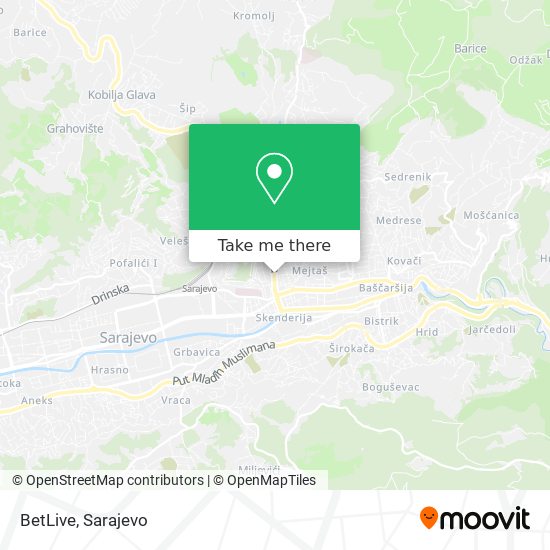 BetLive map