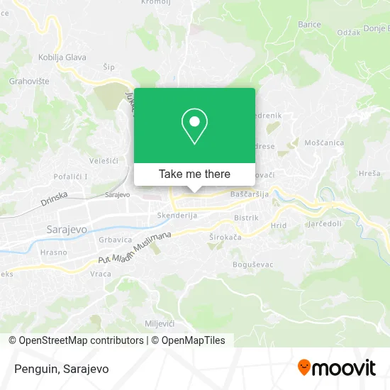 Pingvin mapa