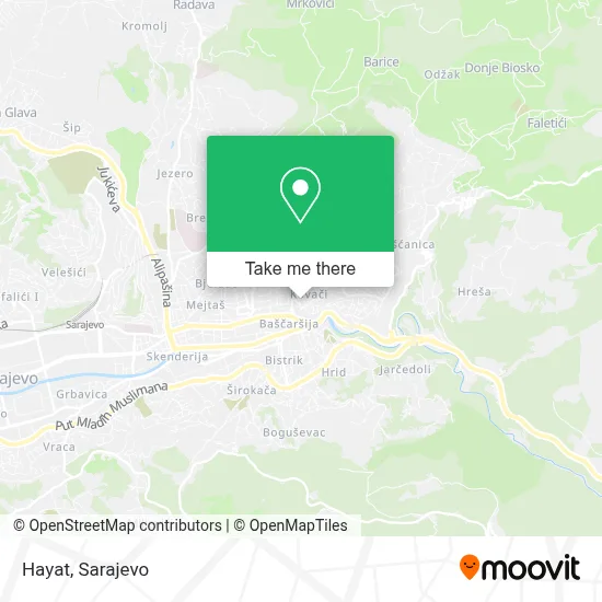 Hayat mapa