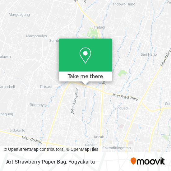 Art Strawberry Paper Bag map