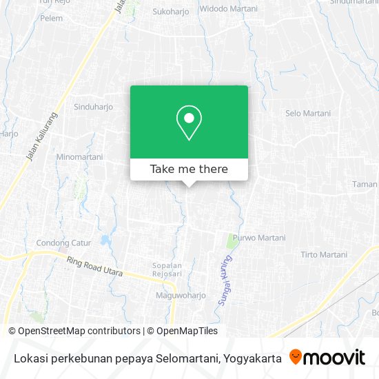 Lokasi perkebunan pepaya Selomartani map