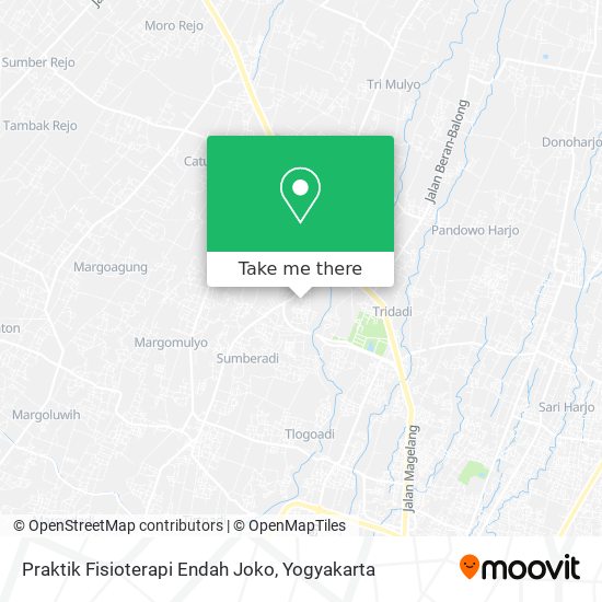 Praktik Fisioterapi Endah Joko map