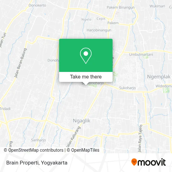 Brain Properti map