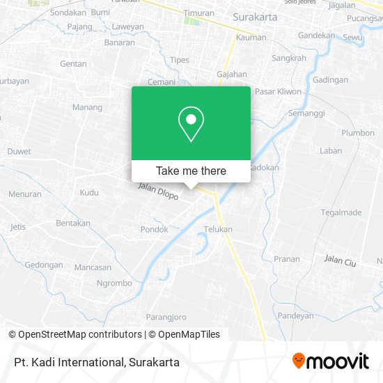 Pt. Kadi International map