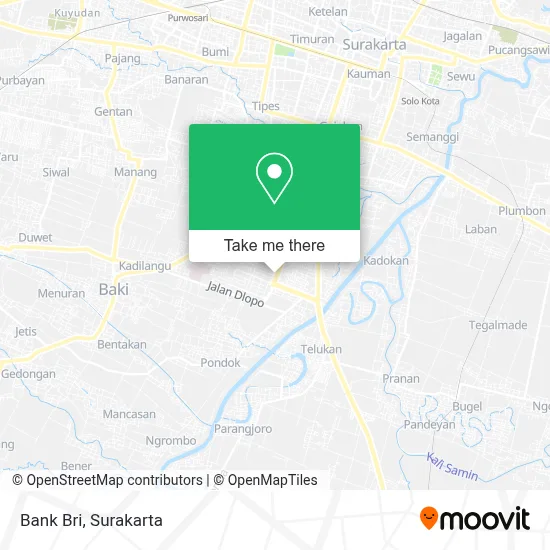 Bank Bri map