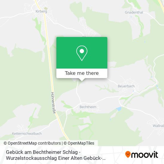 Gebück am Bechtheimer Schlag - Wurzelstockausschlag Einer Alten Gebück-Hainbuche map