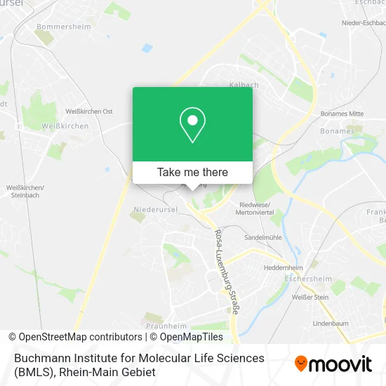 Карта Buchmann Institute for Molecular Life Sciences (BMLS)