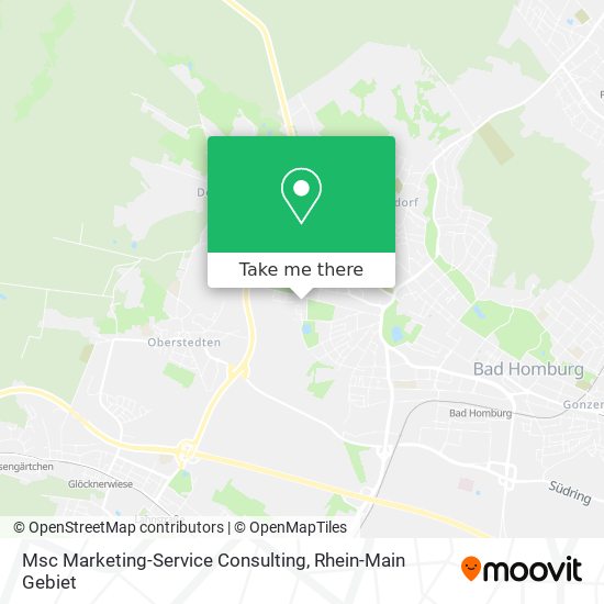 Msc Marketing-Service Consulting map