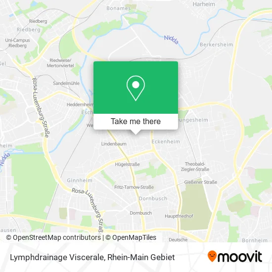 Карта Lymphdrainage Viscerale