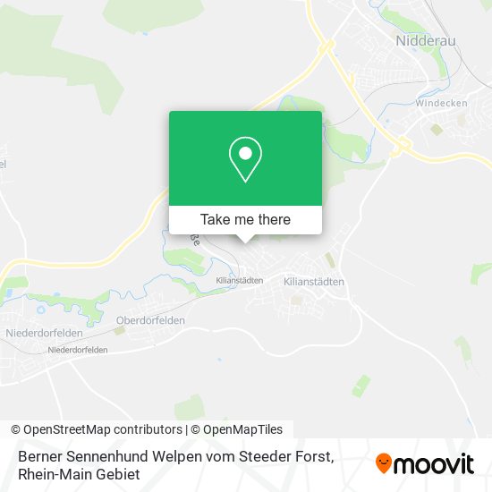 Berner Sennenhund Welpen vom Steeder Forst map