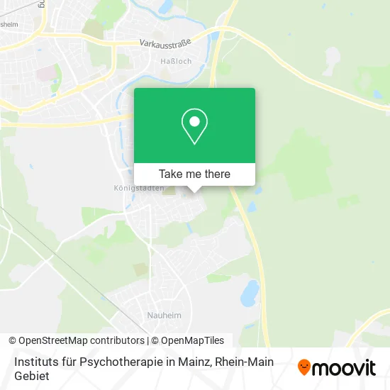 Карта Instituts für Psychotherapie in Mainz