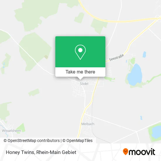 Карта Honey Twins