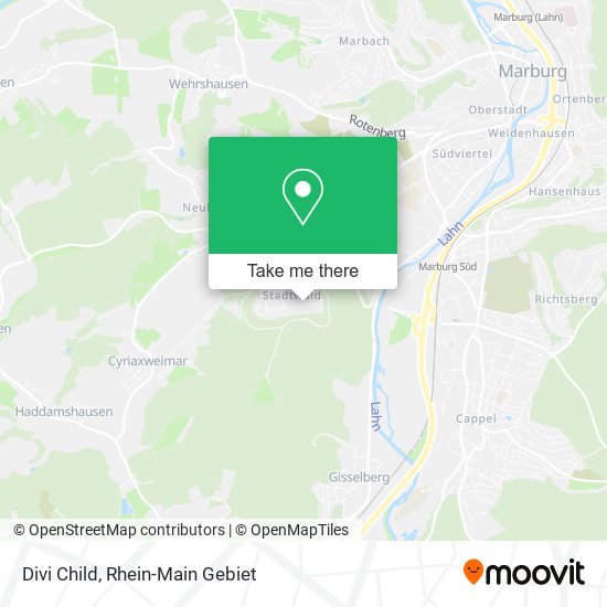 Divi Child map