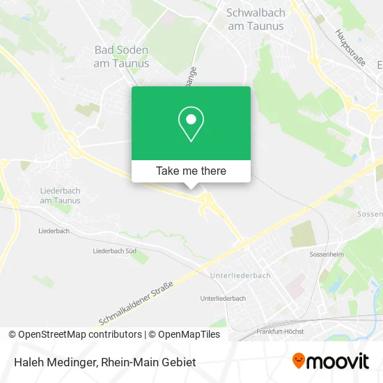 Карта Haleh Medinger