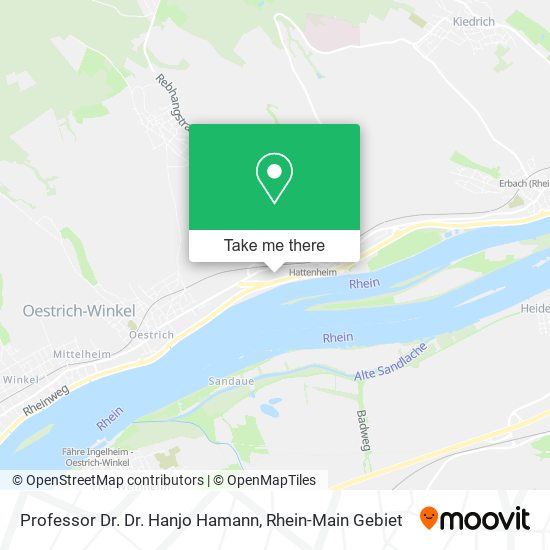 Professor Dr. Dr. Hanjo Hamann map