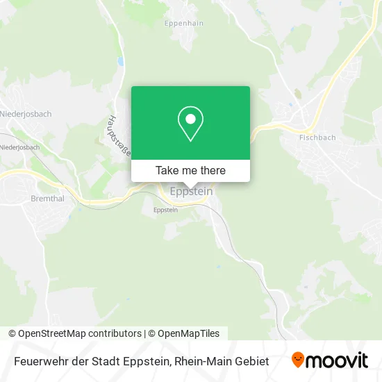 Карта Feuerwehr der Stadt Eppstein