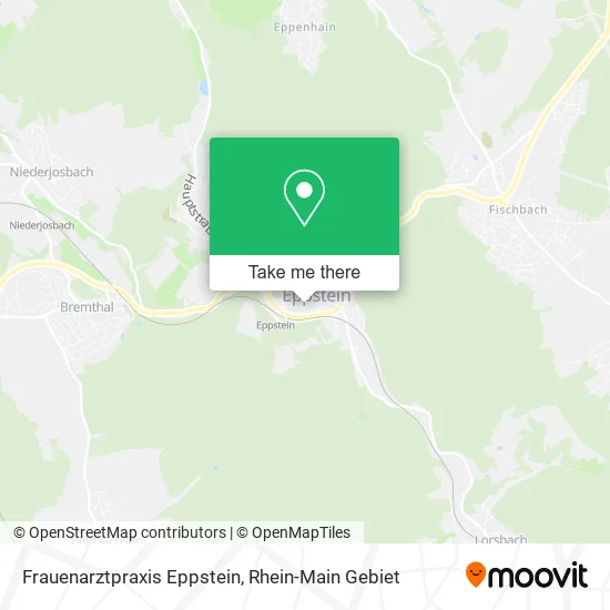 Карта Frauenarztpraxis Eppstein