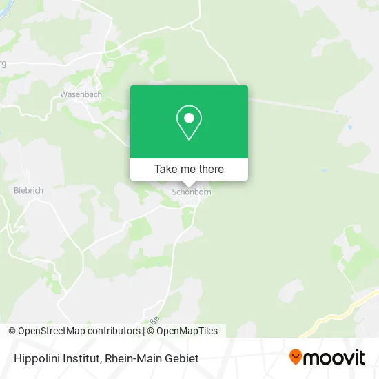 Карта Hippolini Institut