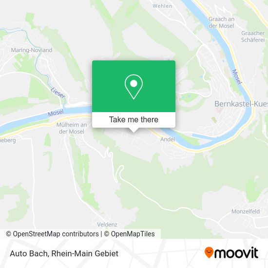 Карта Auto Bach