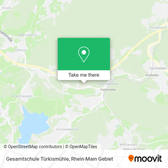 Карта Gesamtschule Türkismühle