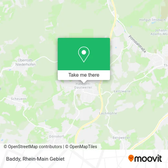 Карта Baddy