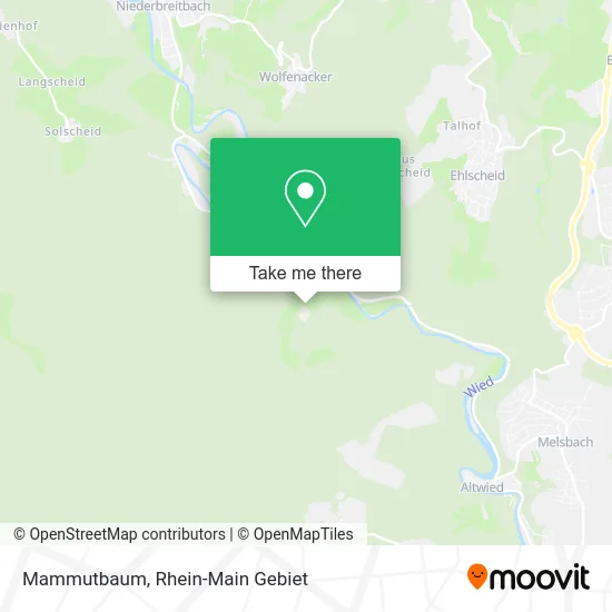 Mammutbaum map