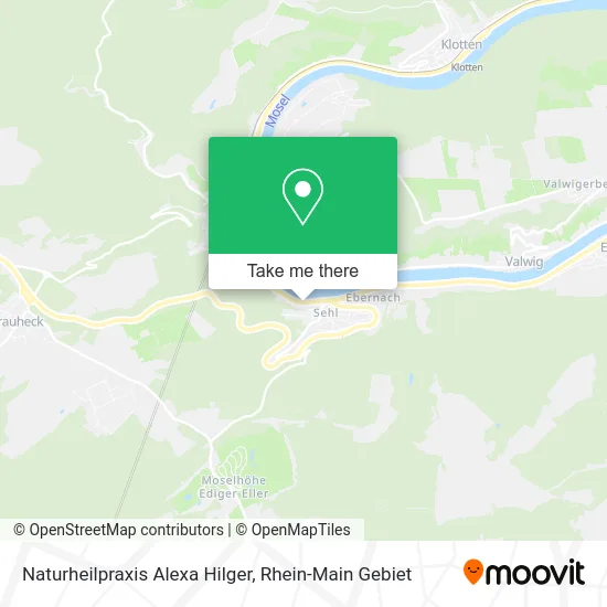 Карта Naturheilpraxis Alexa Hilger