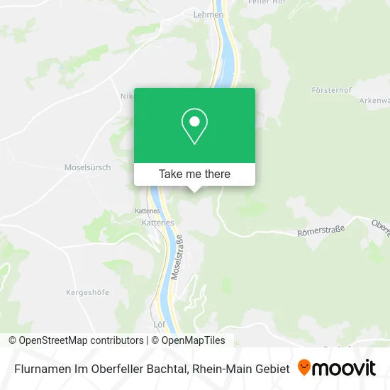 Карта Flurnamen Im Oberfeller Bachtal