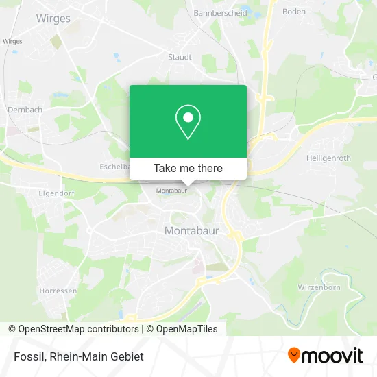 Fossil map