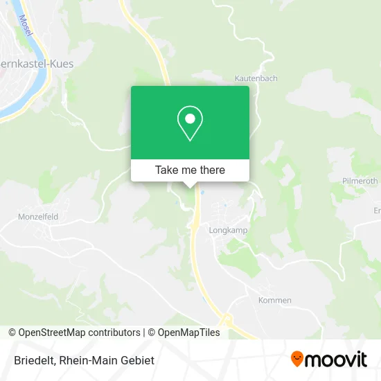 Карта Briedelt