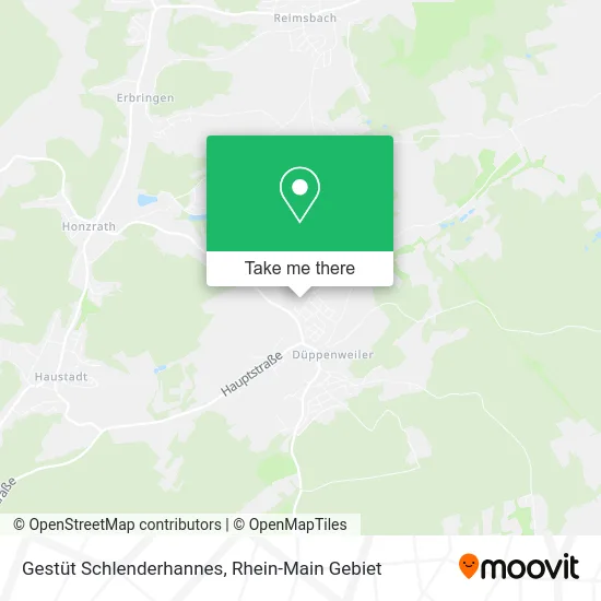 Карта Gestüt Schlenderhannes