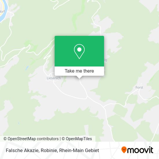 Карта Falsche Akazie, Robinie