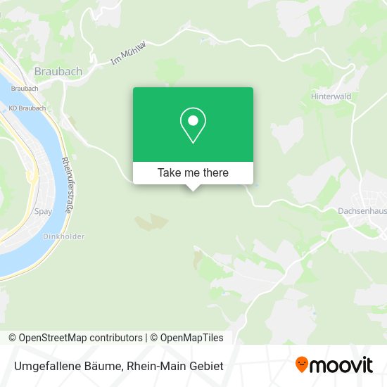 Карта Umgefallene Bäume