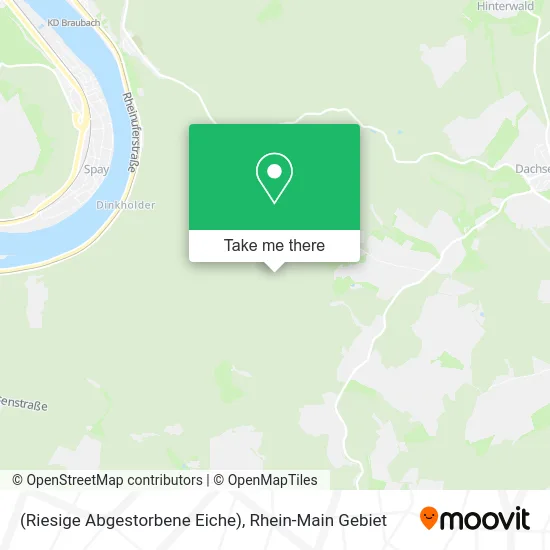 Карта (Riesige Abgestorbene Eiche)