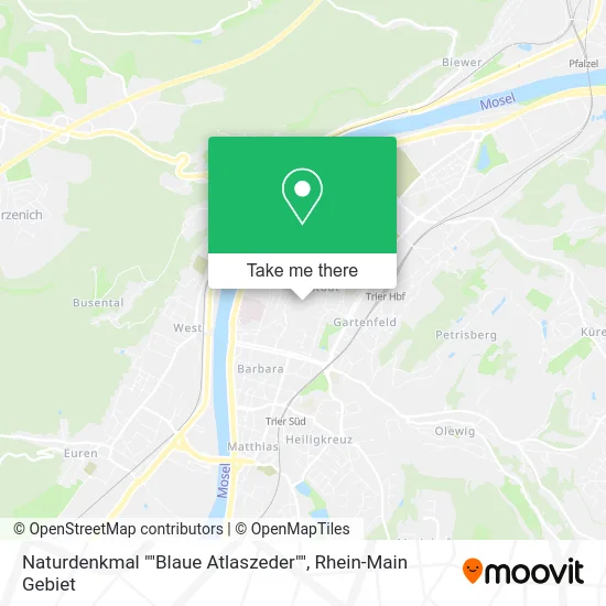 Карта Naturdenkmal ""Blaue Atlaszeder""