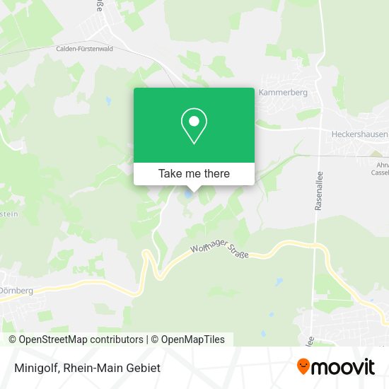 Карта Minigolf