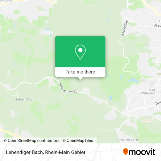 Карта Lebendiger Bach