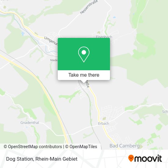 Карта Dog Station