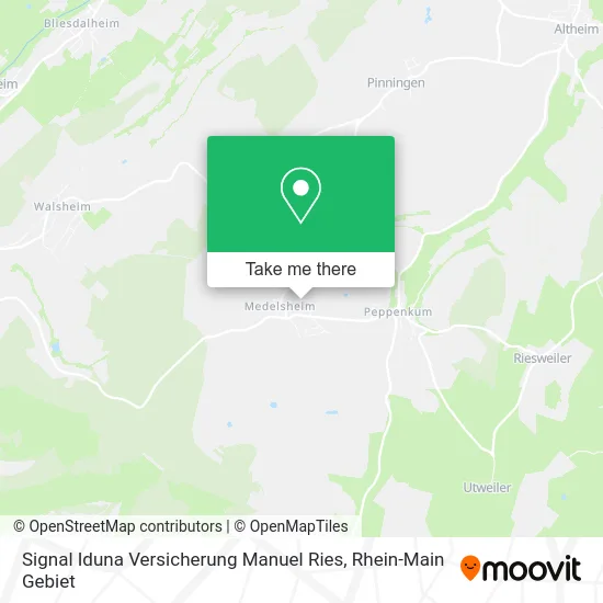 Карта Signal Iduna Versicherung Manuel Ries