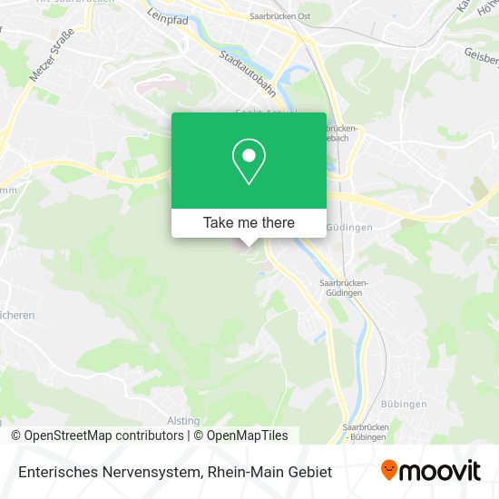 Карта Enterisches Nervensystem