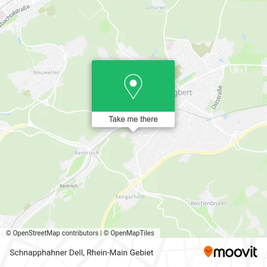 Карта Schnapphahner Dell
