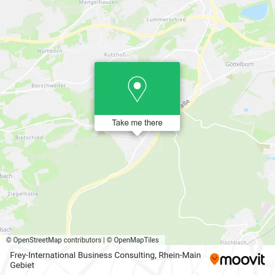 Карта Frey-International Business Consulting