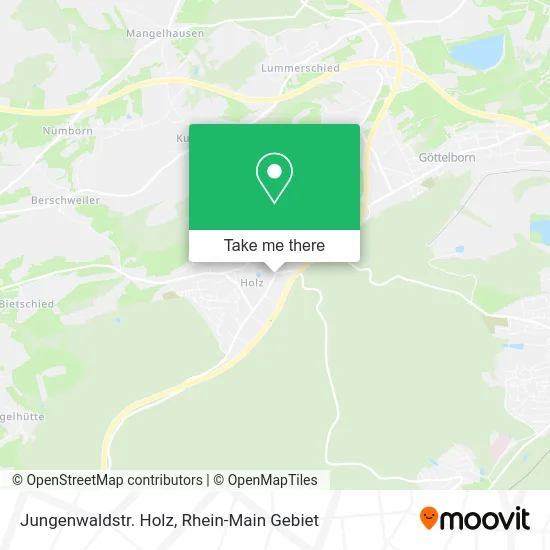 Карта Jungenwaldstr. Holz