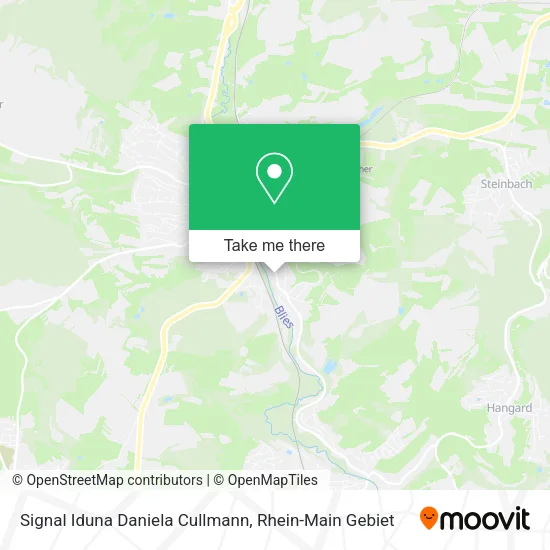 Карта Signal Iduna Daniela Cullmann
