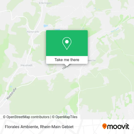 Карта Florales Ambiente