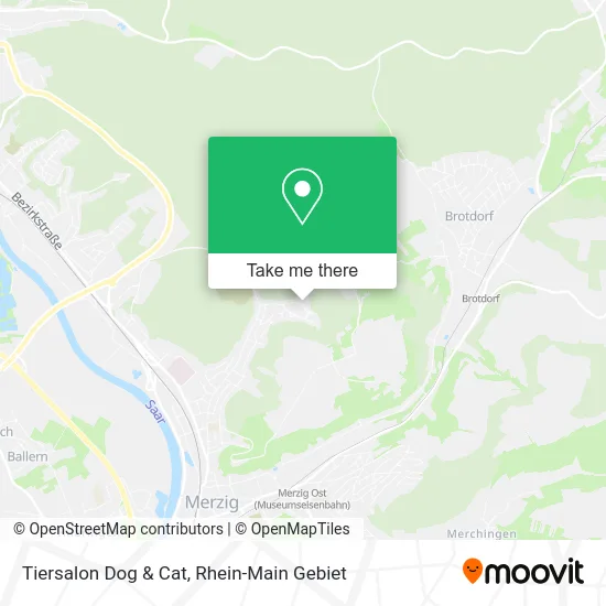 Карта Tiersalon Dog & Cat
