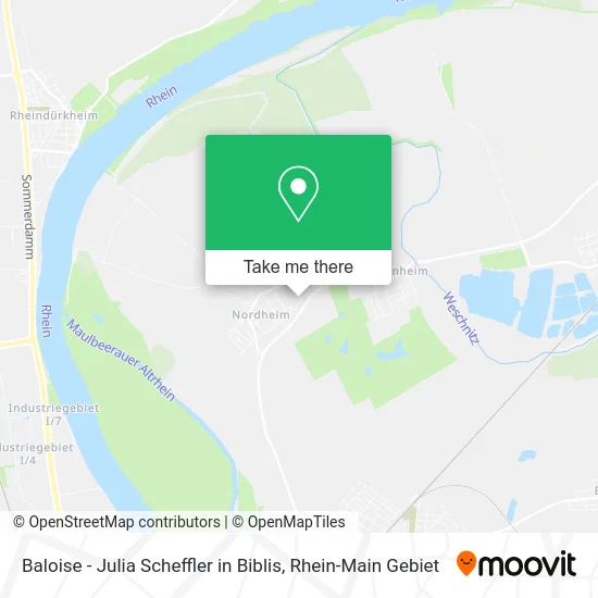 Карта Baloise - Julia Scheffler in Biblis