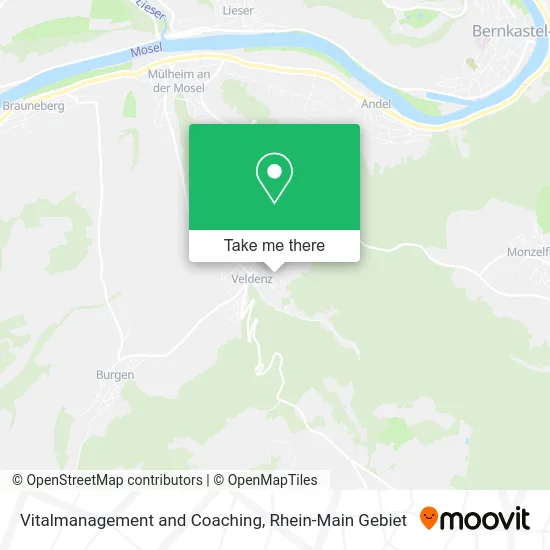 Карта Vitalmanagement and Coaching