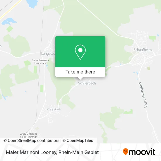 Карта Maier Marinoni Looney